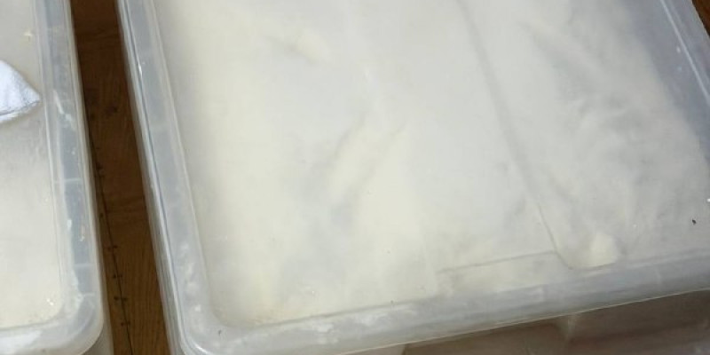 Солтүстік Қазақстанда 5 млрд теңге тұратын есірткі заттары тәркіленді