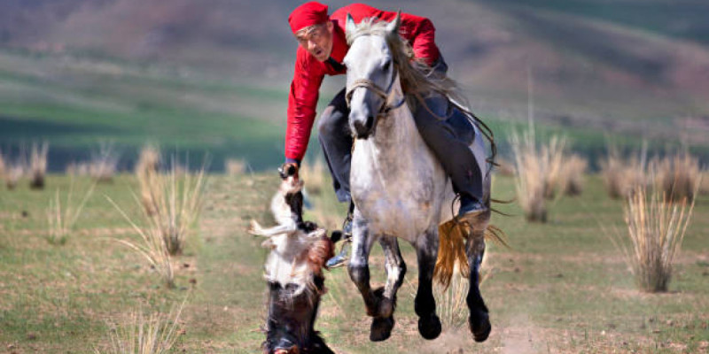 20 наурыз – Ұлттық спорт күні