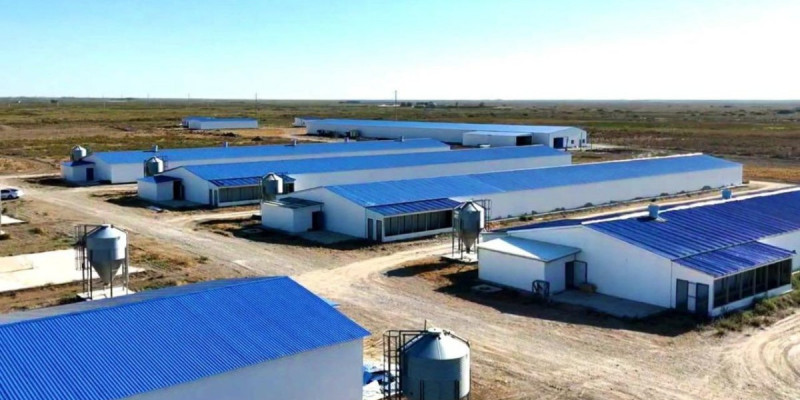 Қызылордада жылына 3,5 мың тонна өнім өндіретін құс фабрикасы іске қосылады