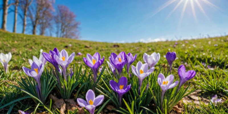 23 наурыз – Тазару күні