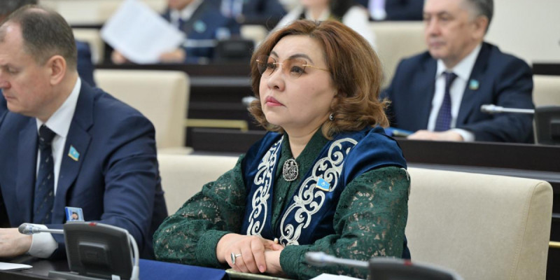 Бибигүл Жексенбай алаяқтықтан зардап шеккендерді қорғаудағы олқылықтарды атап өтті