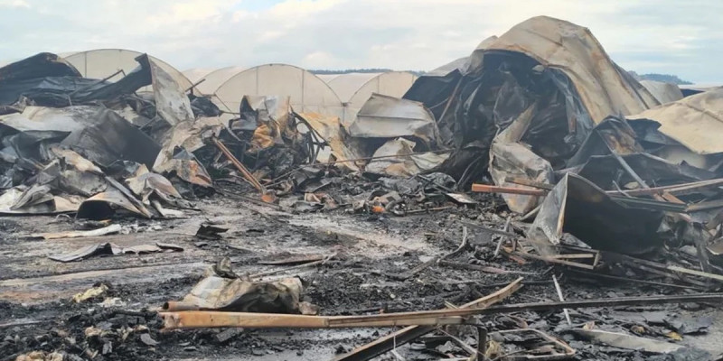 Антальяда жүкті әйел мен оның бес баласы өртеніп кеткен