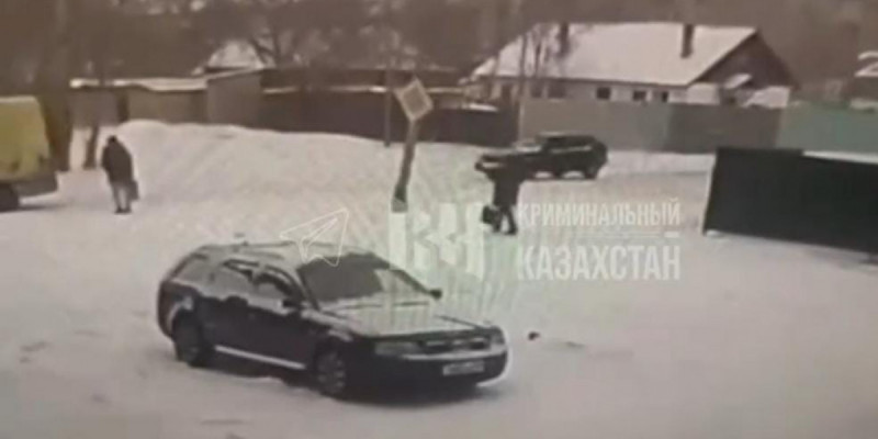 Қарағандыда әйелдің үстіне жарық бағаны құлап, көз жұмды (ВИДЕО)