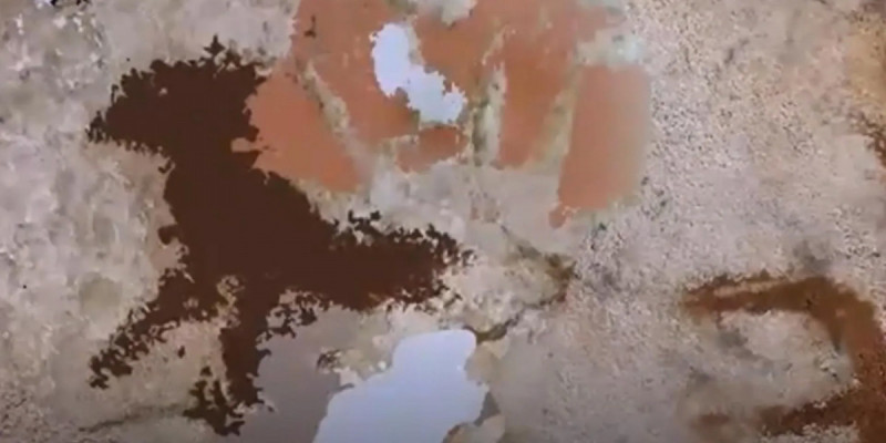 Адам салған ең көне сурет табылды