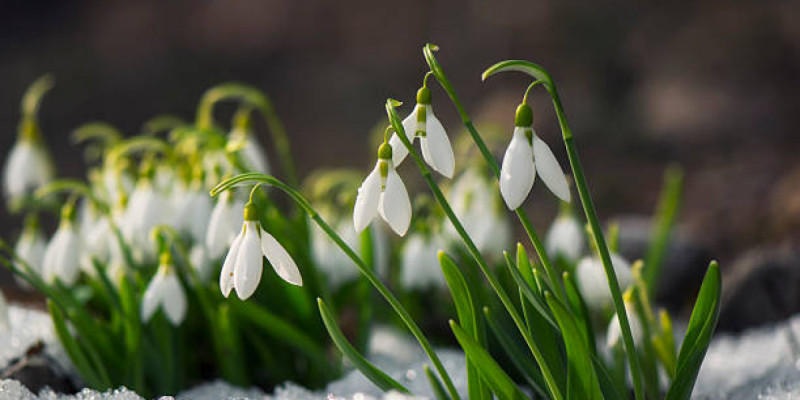 Күн +30 градусқа дейін жылиды