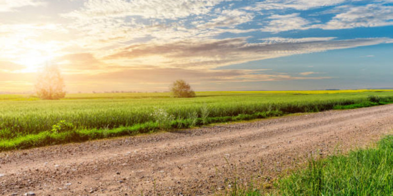 Құны – 52 млн: Степногорскте 1500 гектар жер мемлекет меншігіне қайтарылды