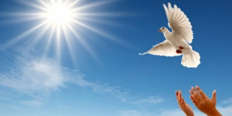 Зайырлы елдің өлшемі