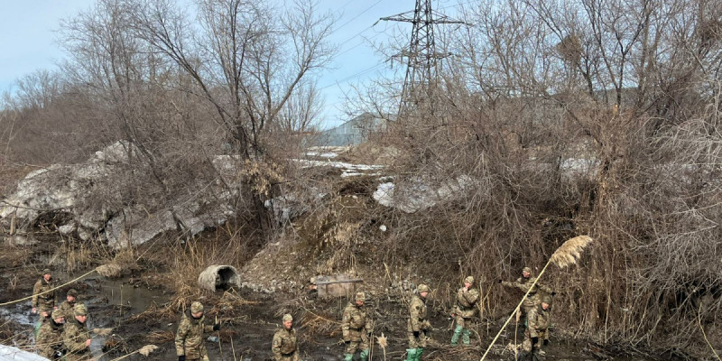 Қостанайлық ұландықтар жоғалған жасөспірімді іздеуге жұмылдырылды