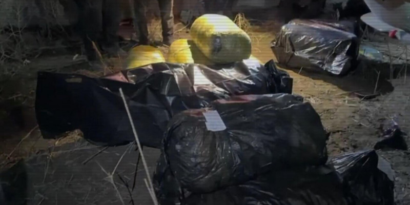 Ұлытауда есірткі арнасы әшкереленді