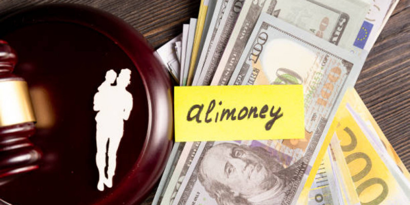 Абай облысында алимент төлеуден жалтарған екі адам сотталды