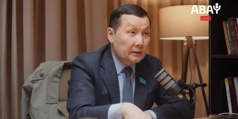 Ішкі істер органдарын негізсіз сыннан қорғау қажет – депутат