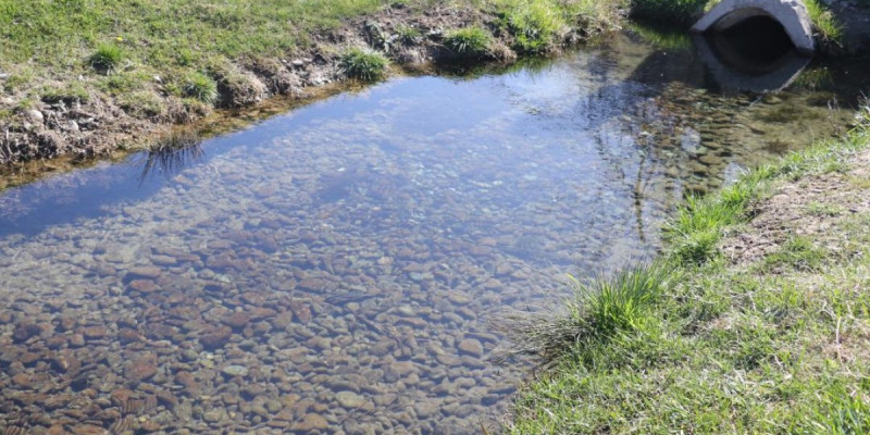 9 мыңнан астам қазақстандық «Мөлдір бұлақ» акциясына қатысты