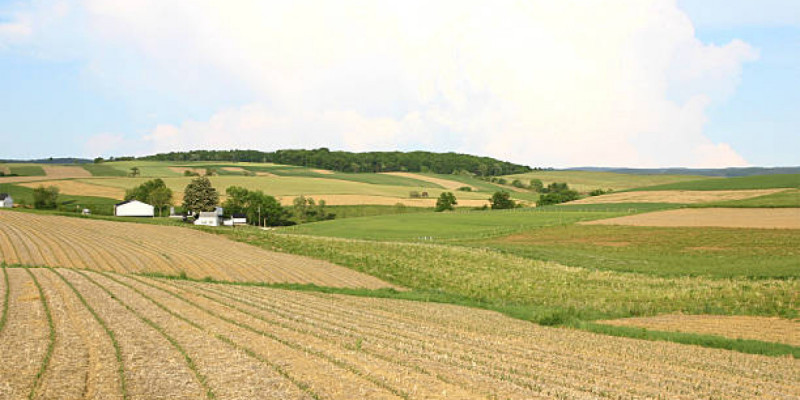 Қазақстан ауыл шаруашылығы алқаптары бойынша үздік 6 елдің қатарына енді