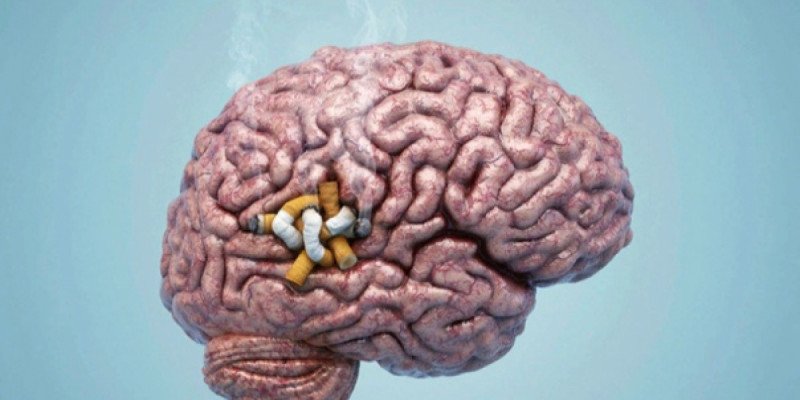 Темекі шегу миды кішірейтеді – Британ ғалымдары