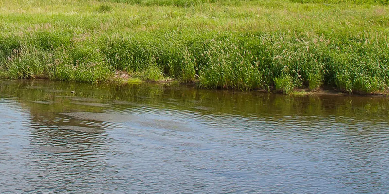 Түркістан облысында 2 жастағы баланы ағыс алып кеткен