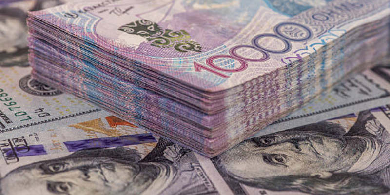 Алматыда паспортизациялау ісі бойынша мемлекет кірісіне 900 млн теңге өндірілді