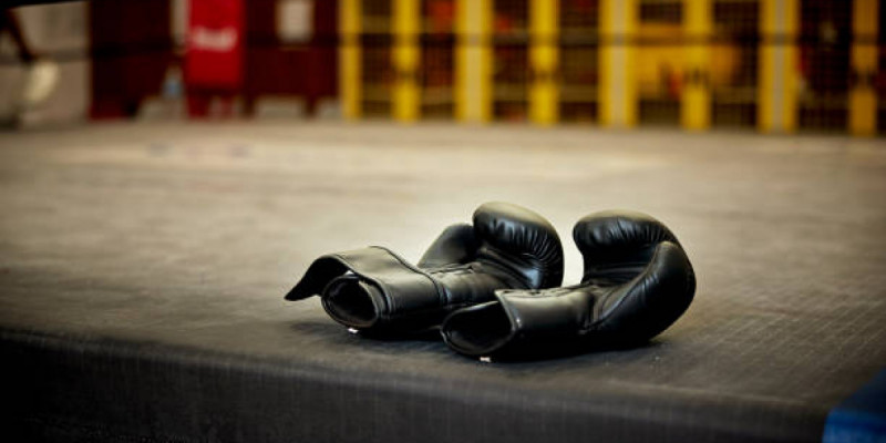 Үкімет 2026-2030 жылдарға арналған боксты дамыту тұжырымдамасын бекітті