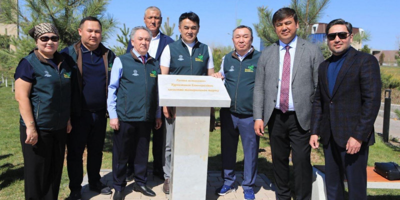 Түркістанға Баянауыл қарағайы егілді