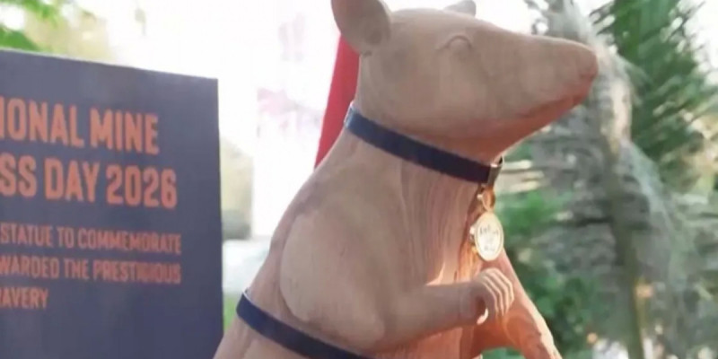 Камбоджада егеуқұйрыққа ескерткіш қойылды