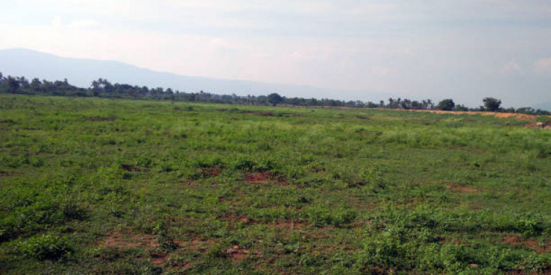 Ақтөбеде 1,9 гектар жер телімі мемлекет меншігіне қайтарылды