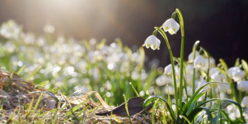 Бірнеше өңірінде дауылды ескерту жарияланды