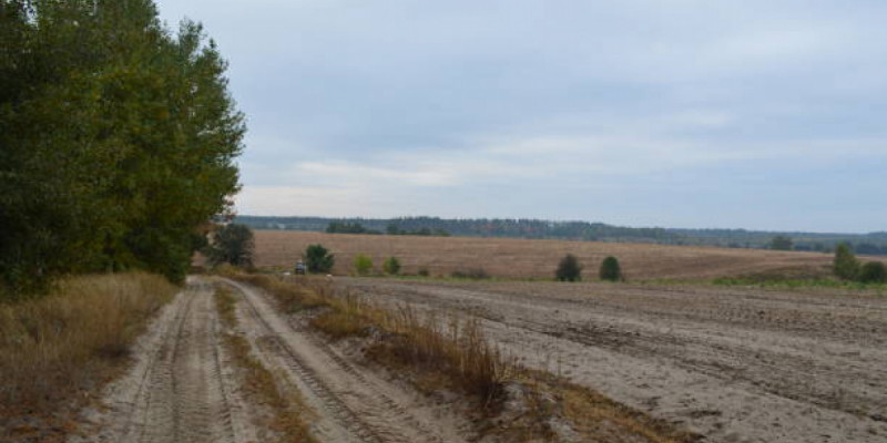 «Медеу» паркімен шекаралас 288 гектар жер мемлекетке қайтарылды