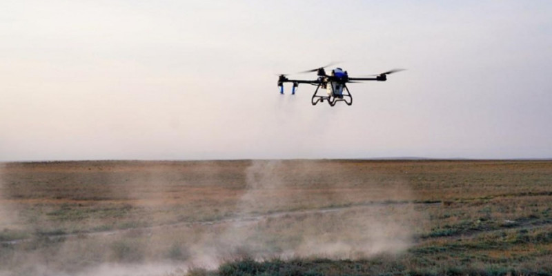 Шегірткеге қарсы күресте 100-ден астам дрон пайдаланылмақ