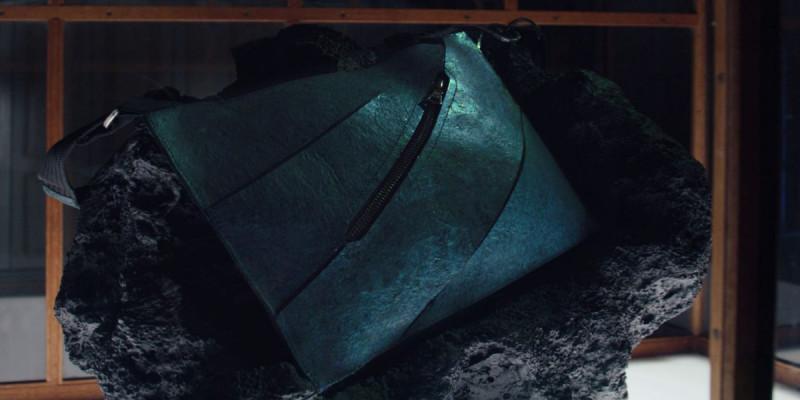 Динозавр терісінен аса қымбат сөмке тігілді