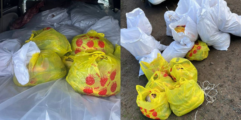 БҚО-да заңсыз ауланған 400 келіге жуық балық тәркіленді