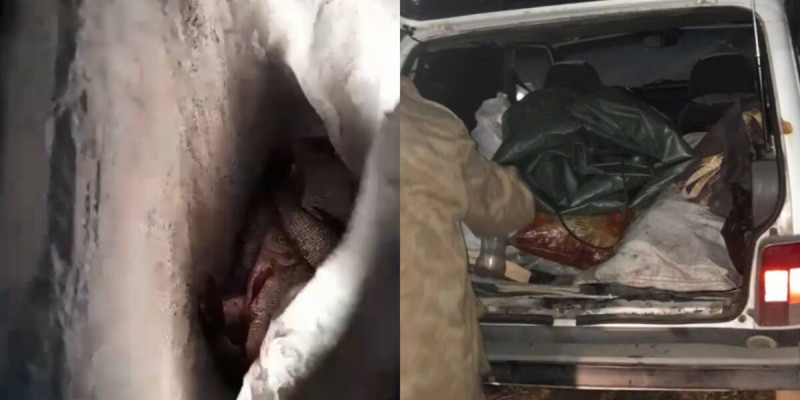 Павлодар облысында 15 келі балықты заңсыз аулаған тұрғын ұсталды