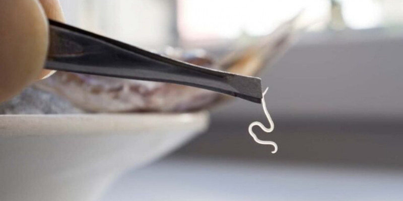 Жапонияда ішінде тірі паразит құрттары бар қалам сатылған (ВИДЕО)