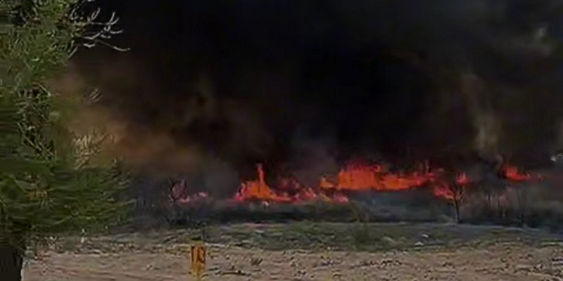 Қонаев қаласындағы бір гектар аумақта қамыс өртенді