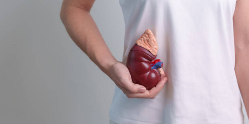 Қазақстанда 4,6 мың адам донор кезегін күтіп жүр – министрлік