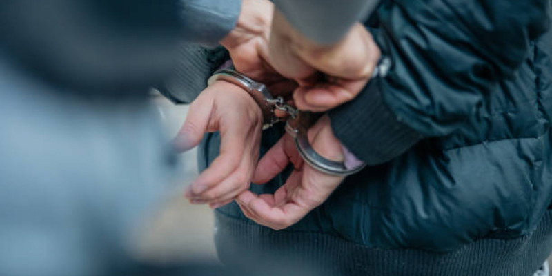 Мемлекеттен 4 млрд теңге ұрлаған күдікті Грузядан экстрадицияланды