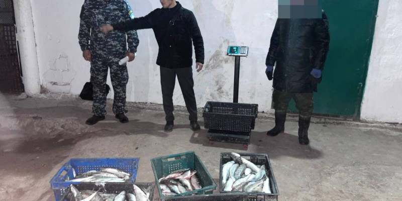 Балқаш көлінде браконьерден 79 келі балық тәркіленді