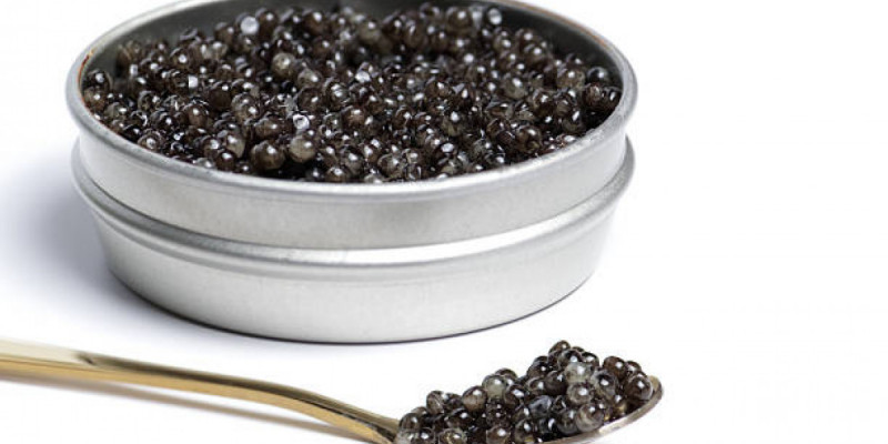 Атырауда мемлекеттік мекеме 147 миллионға бекіре уылдырығын сатып алмақ болған