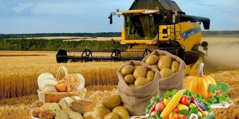 Азық-түлік өндірісі 665 млрд теңгеден асты