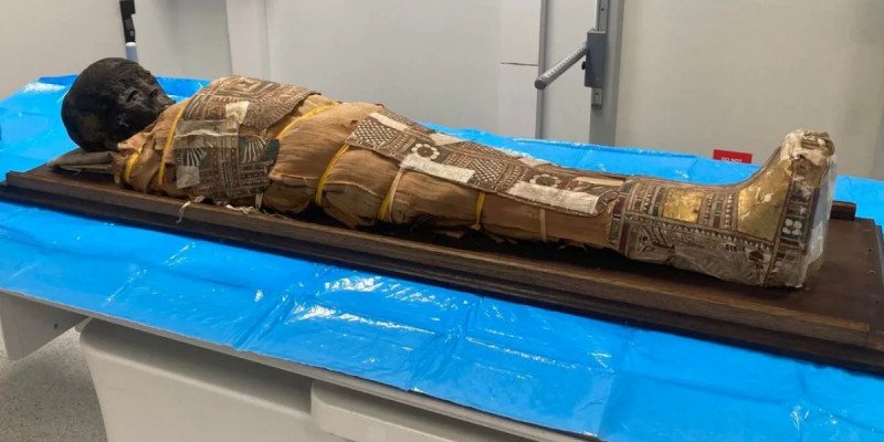 2 000 жылдық Египет мумиясынан жасырын зат табылды