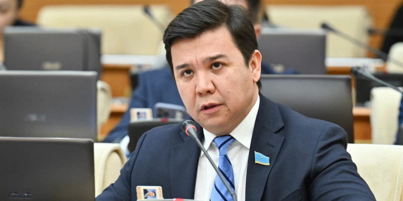 Қолданыстағы заң бұралқы иттер мәселесін шешуде нәтиже бермей отыр – депутат