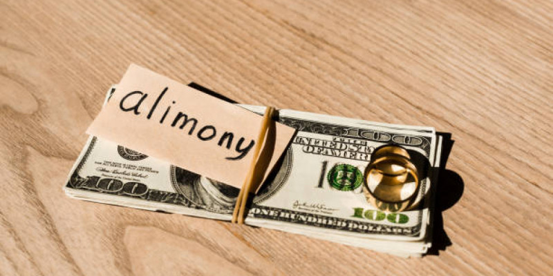 Алматы облысының прокурорлары 500 млн теңге алимент өндірді