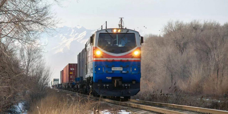 Екі теміржол стансасында заңсыз жүкпен жүрген көліктер анықталды