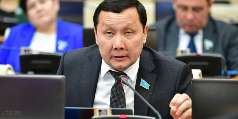 Манипуляция алға шықты: депутат жануарларға жауапкершілікпен қарау туралы заң жобасына қатысты үндеу жасады