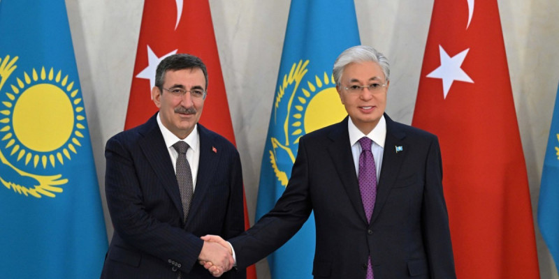 Мемлекет басшысы Түркияның вице-президентімен кездесті