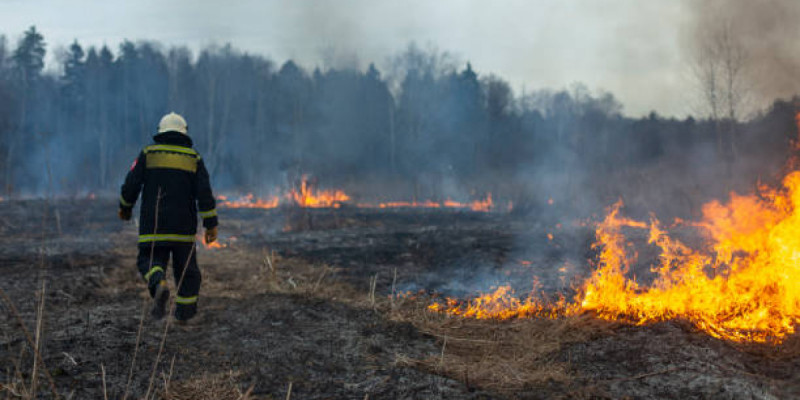ТЖМ өрт қауіпті кезеңде қауіпсіздік шараларын сақтауға шақырды