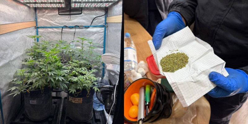 ШҚО-да заңсыз жұмыс істеген зертхананың қызметі тоқтатылды