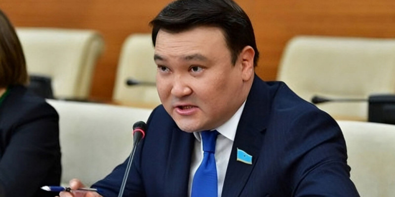 Депутат: Бұралқы иттер мәселесінде адам қауіпсіздігі – бәрінен жоғары