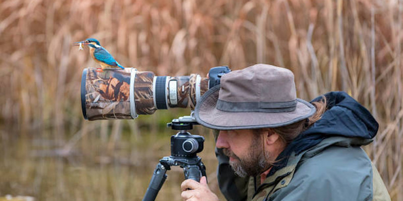 Қатонқарағай ұлттық паркінде жануарлар фототұзаққа түсіп қалды