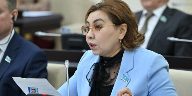 Бибігүл Жексенбай курьерлер мен такси жүргізушілерінің құқығын қорғау мәселесін көтерді