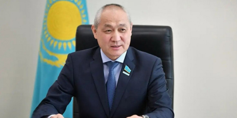 "Бұл – цирк емес, қоғамның дауысы": Депутат Ақтаудағы бұралқы иттер мәселесіне қатысты жиын туралы