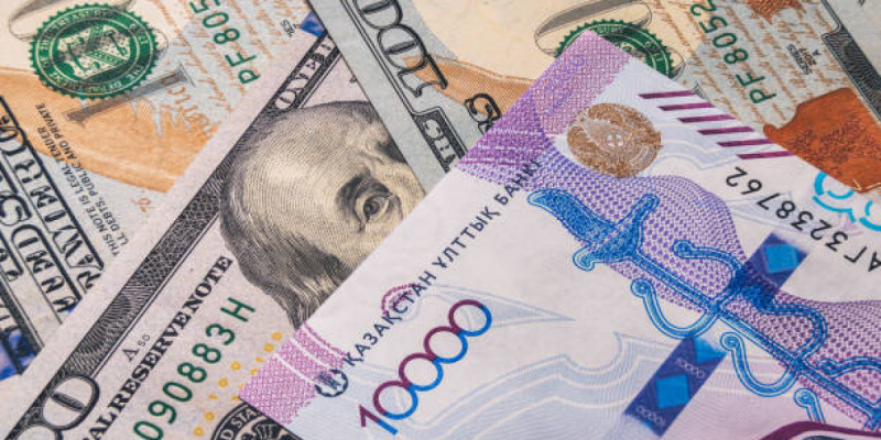 Жетісуда мемлекеттік мекеме инвесторға 2,5 млн теңге төлемеген